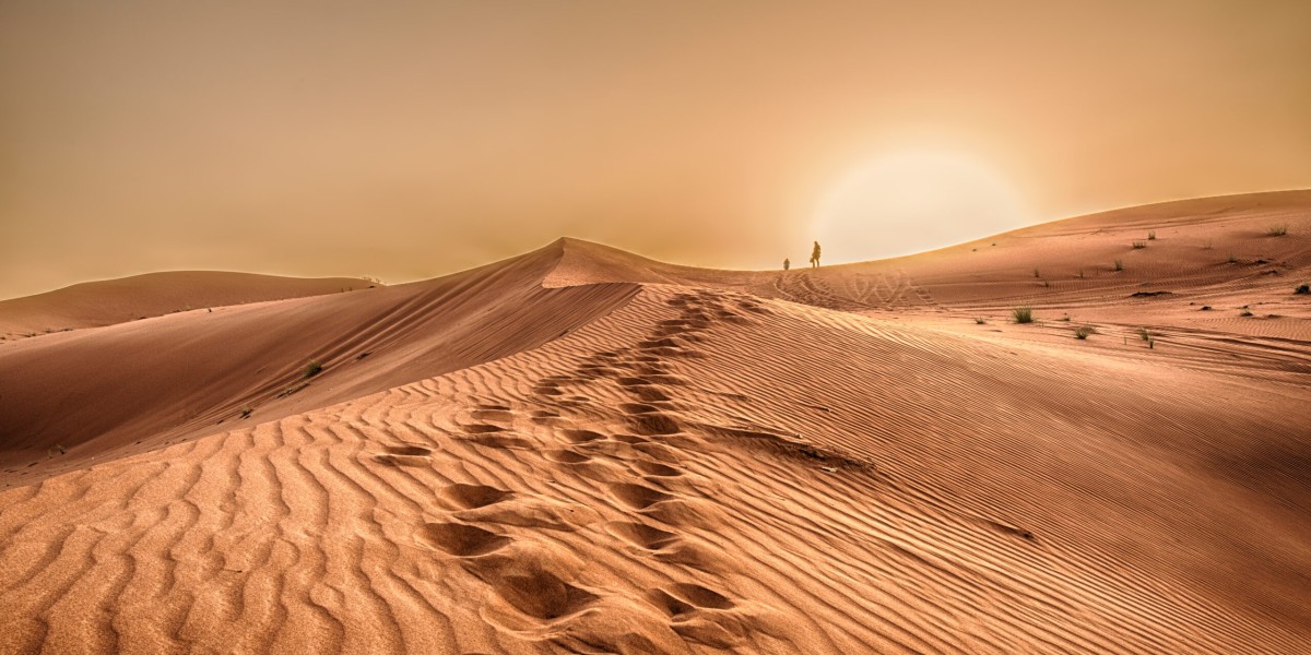 Experience the Best of Dubai: From Golden Dunes to Iconic Waters