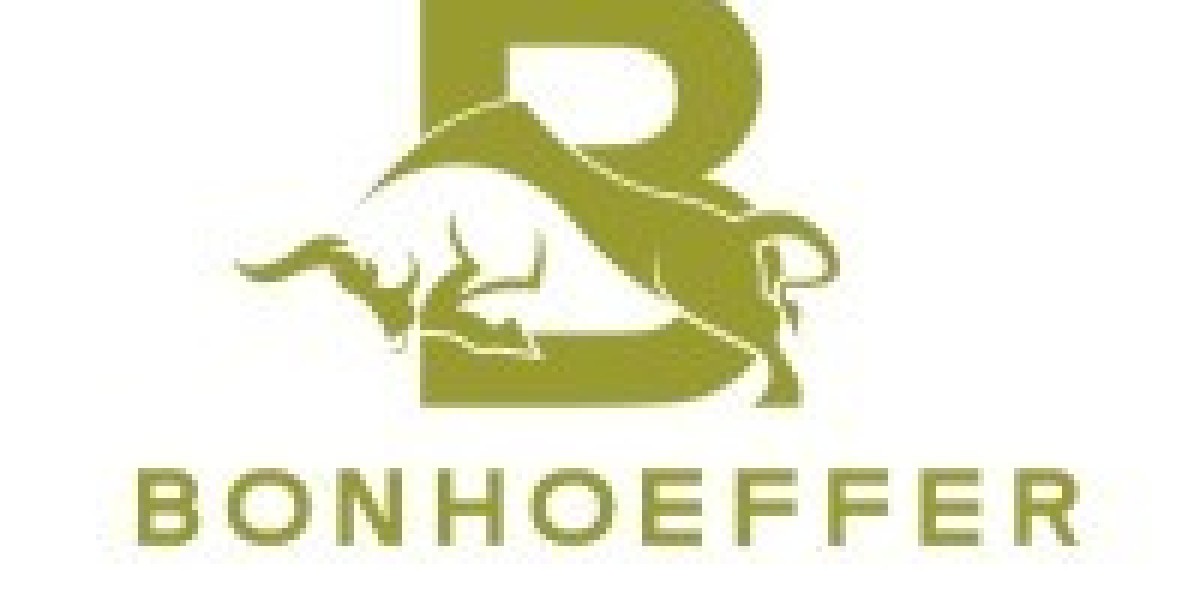 Gasoline Engines & EFI Engines by Bonhoeffer