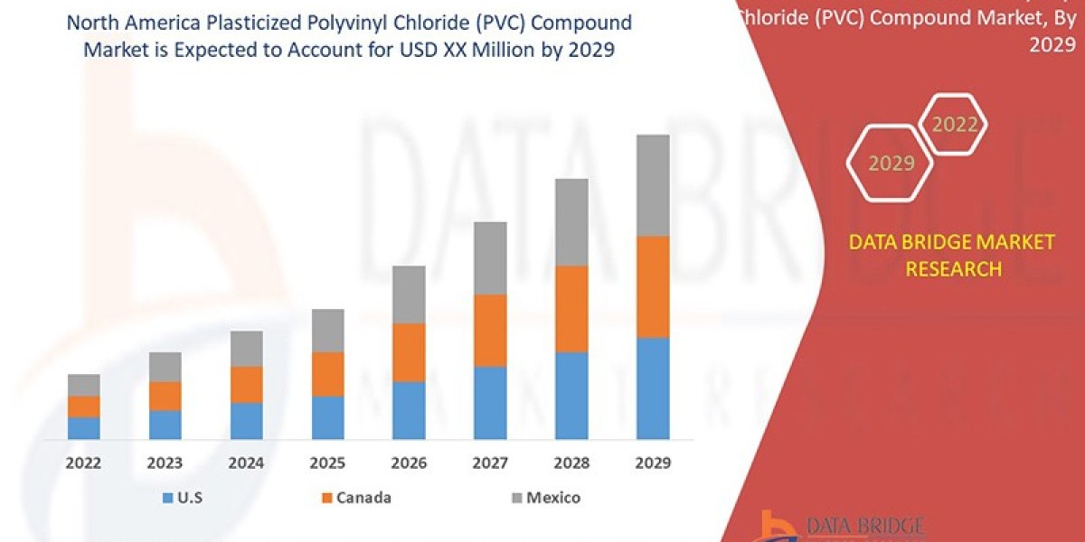 North America Plasticized PVC Compound Market: Durable and Adaptable Materials for Industry Use