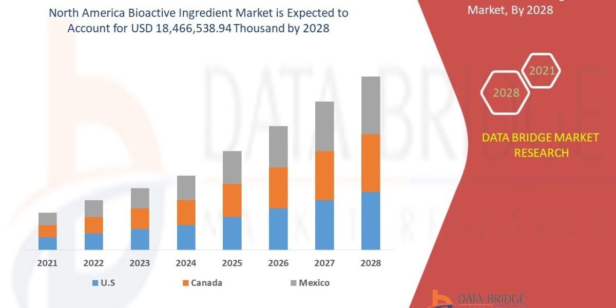 North America Bioactive Ingredient Market: Functional Compounds Elevating Health and Wellness