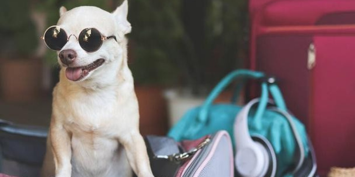 The Ultimate Guide to Carrying a Small Dog in Bag Comfortably