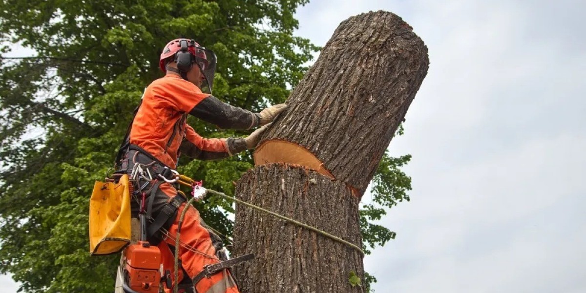 How to Prepare Your Hull Garden for Tree Removal