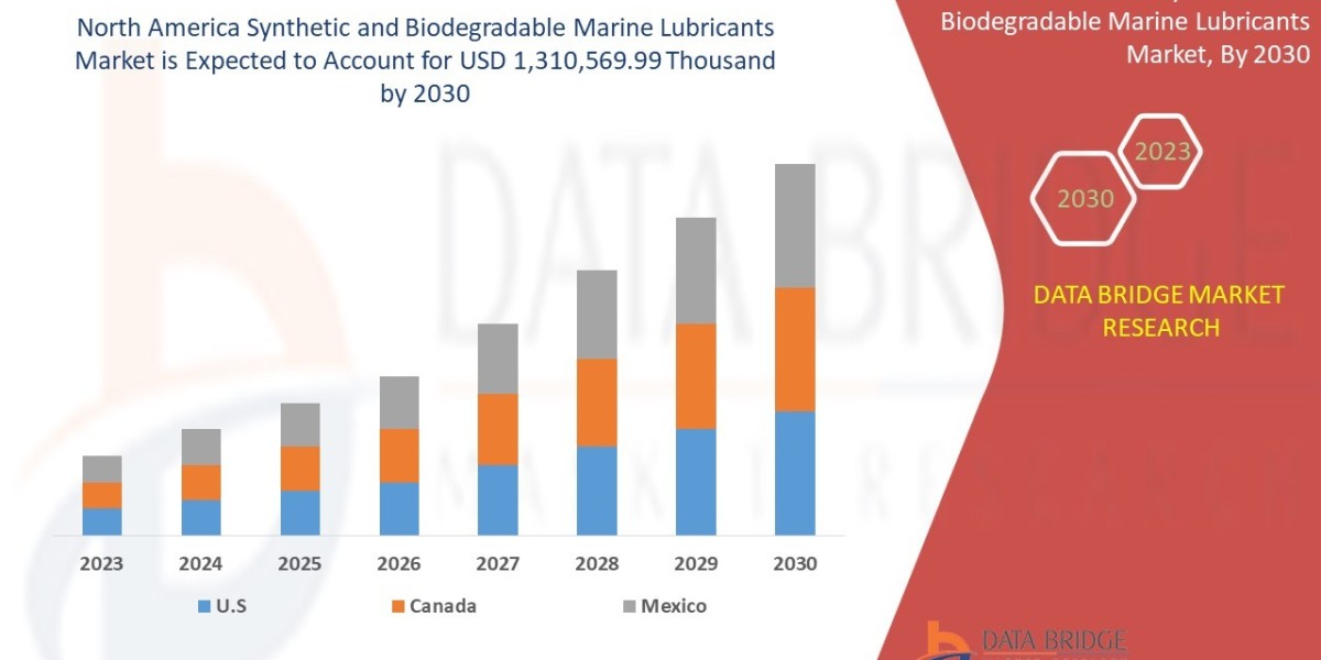 North America Synthetic and Biodegradable Marine Lubricants  Market Outlook: Emerging Opportunities & Growth Potenti