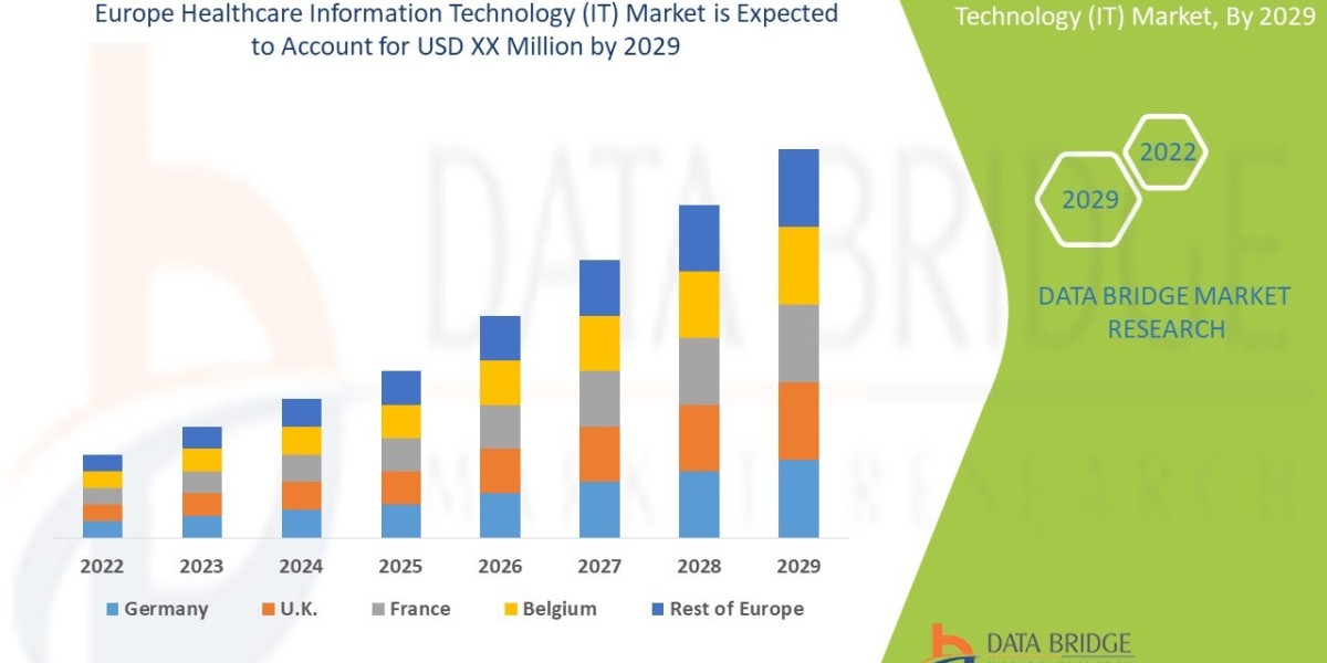 Europe Healthcare Information Technology (IT) Market Investment Sphere, Value Chain Segment and Market Scope