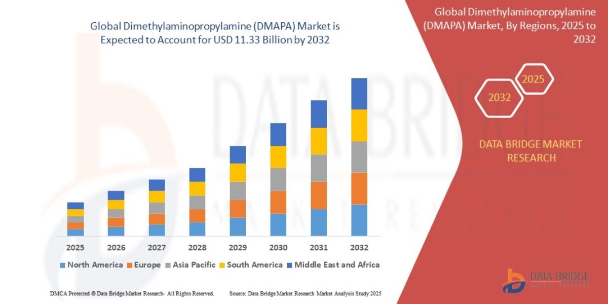 Dimethylaminopropylamine (DMAPA) Market Revenue Forecast: Growth, Share, Value, and Trends