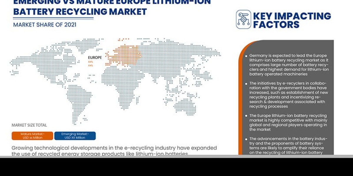 Europe Lithium-Ion Battery Recycling Market Investment Sphere, Value Chain Segment and Market Scope