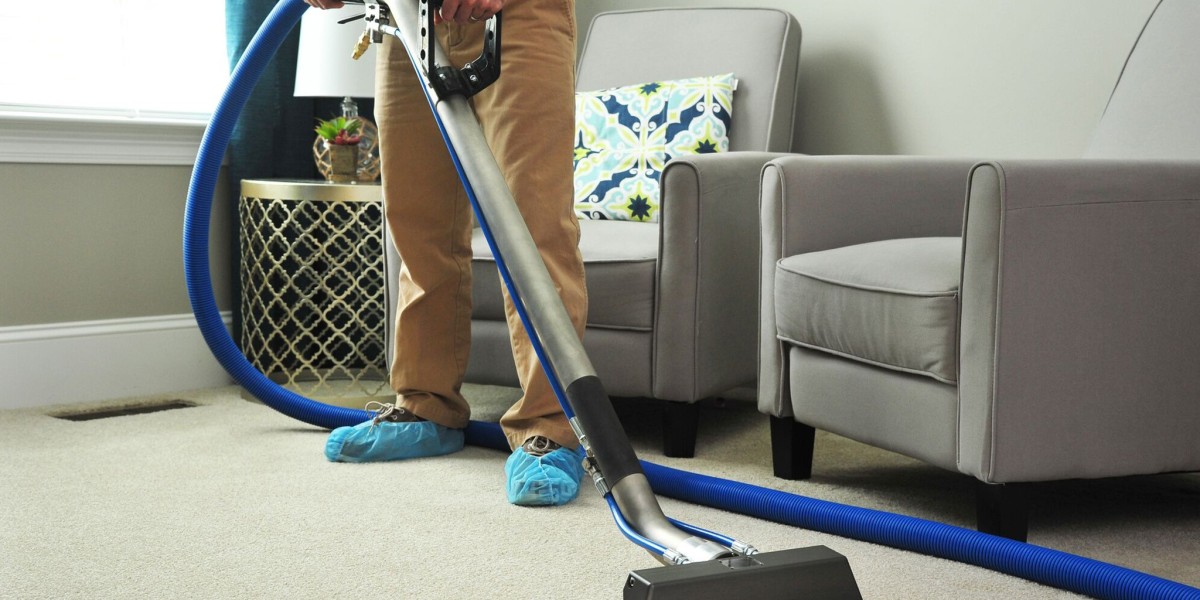 The Science and Art of Carpet Cleaning: An In-Depth Look at Carpet Cleaners