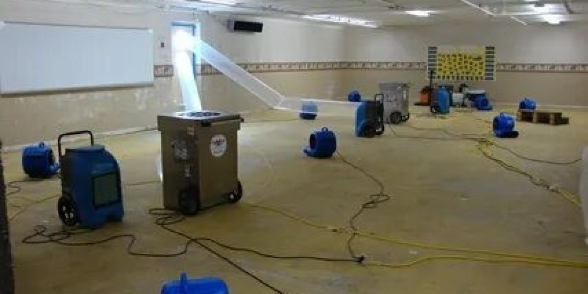 Water Damage in Tampa? Here’s How to Get the Right Help and Fast