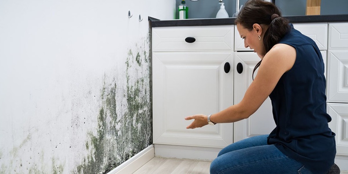 What to Do When Your Rental Home Falls Into Disrepair: A UK Tenant’s Guide