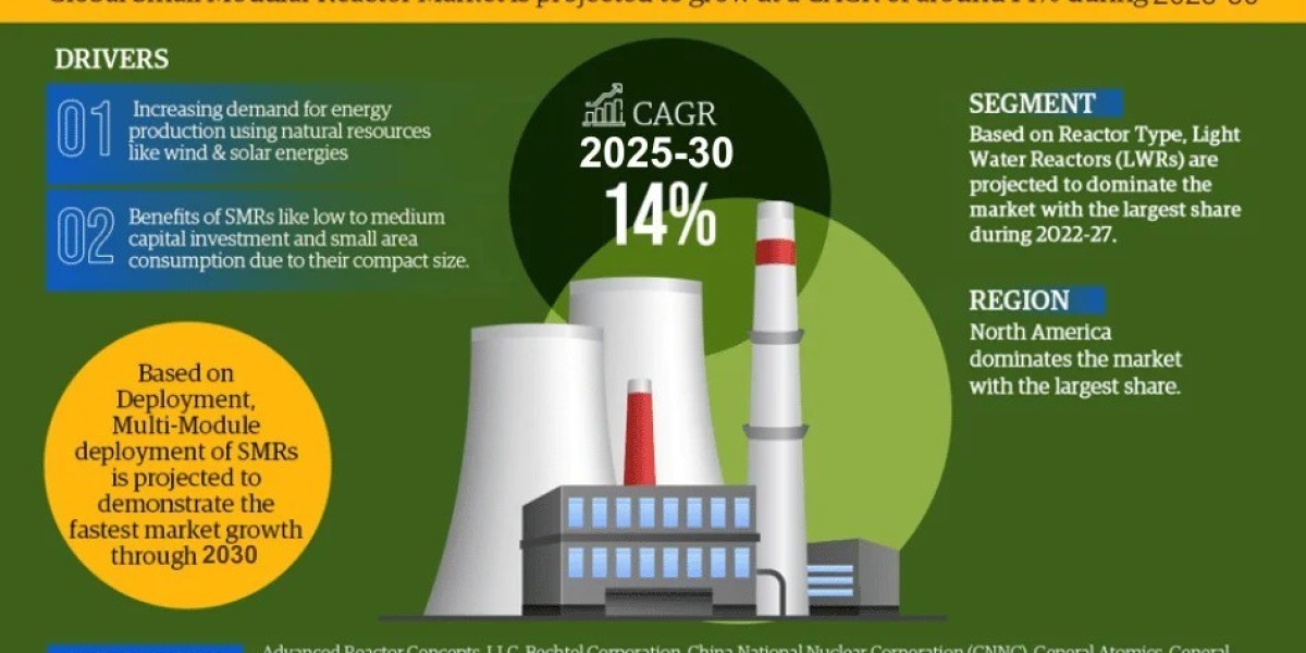 Top Companies in the Small Modular Reactors Market 2030