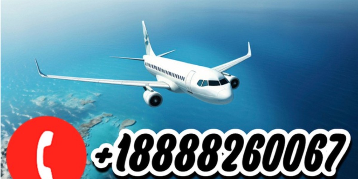 How to Understand American Airlines Baggage Allowance?