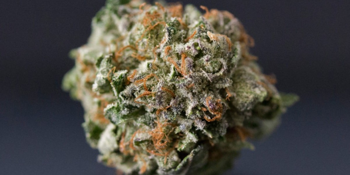 Strain Recommendations in Niagara Falls, NY: Your Guide to Premium Cannabis Choices