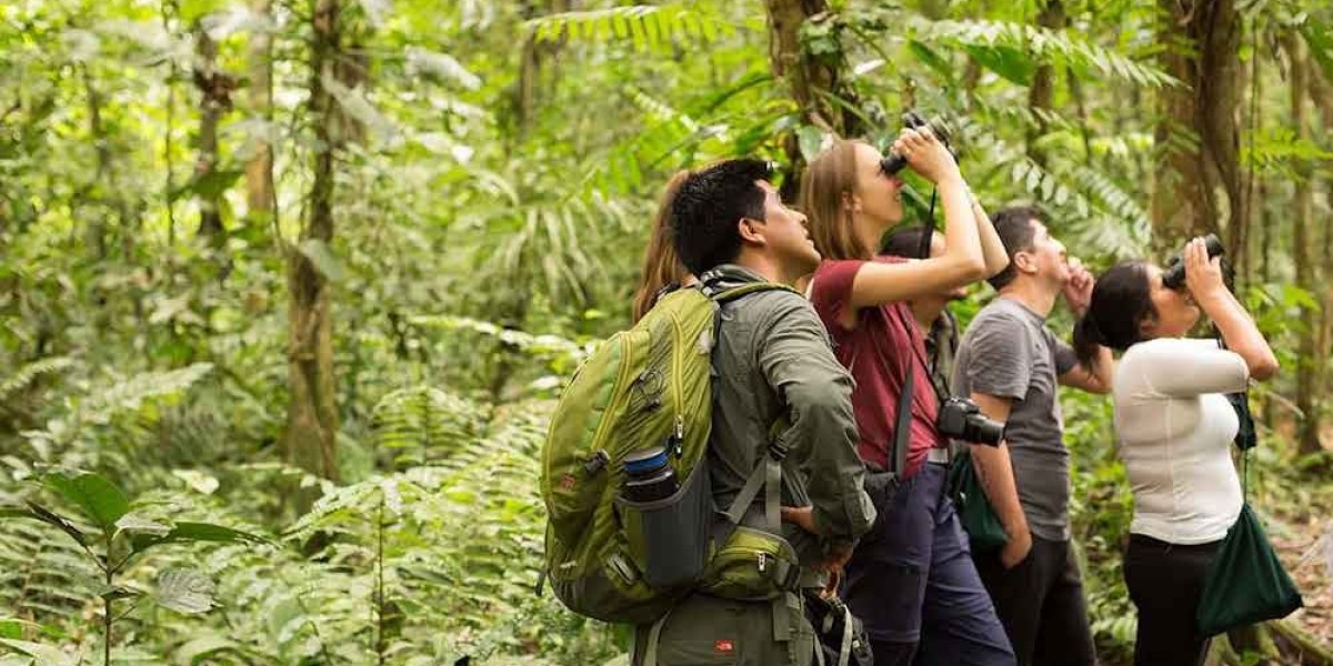 Discover the Wonders of the Jungle with Amazon Rainforest Tours Peru
