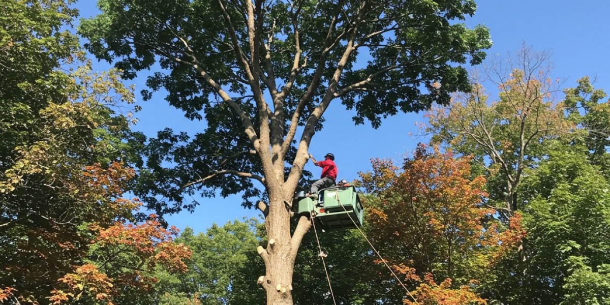 Best Tree Service Simpsonville SC – Expert Care for a Healthier Landscape
