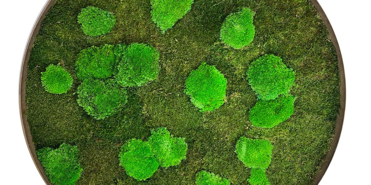 Mosschilderijen