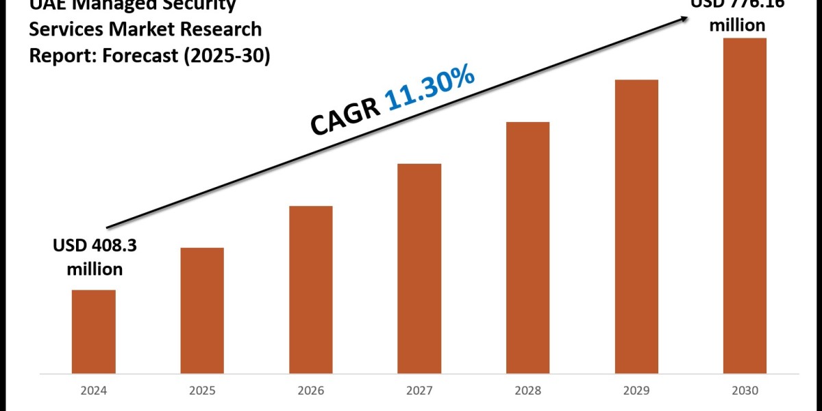 UAE Managed Security Services Market Competitive Landscape, Opportunities and Insights 2030