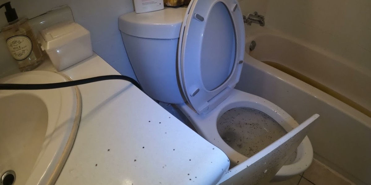 Toilet Backup & Mold Removal Experts in Robbinsville – 24/7 Service Available