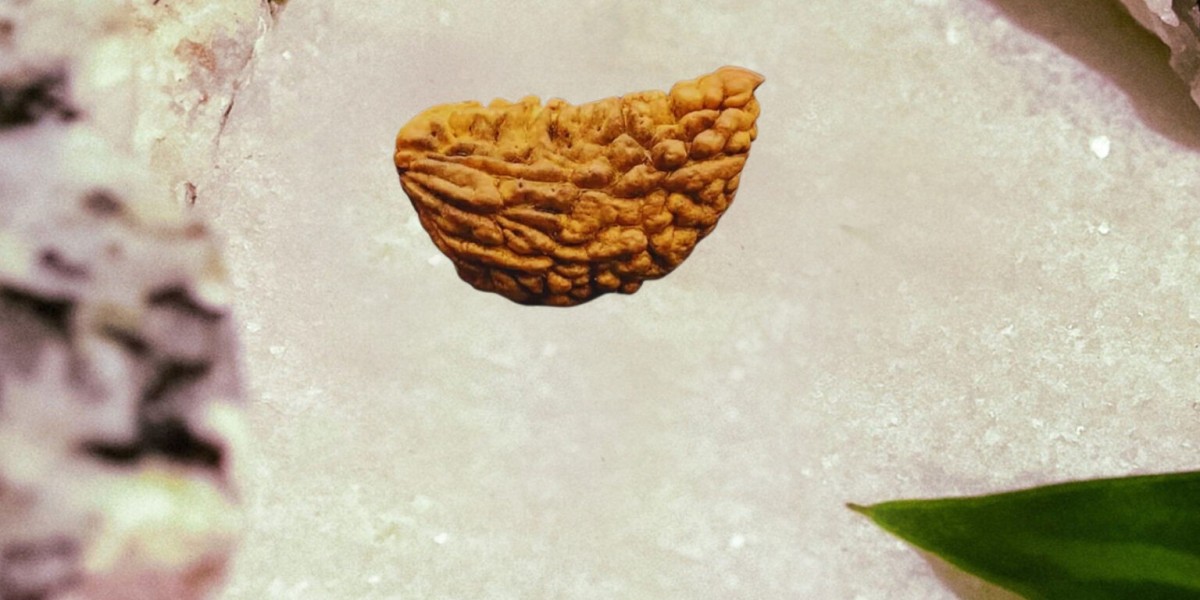 Spiritual and Health Benefits of 1 Mukhi Rudraksha You Should Know
