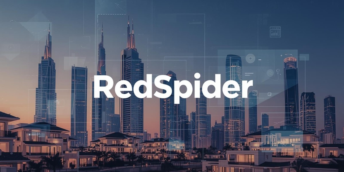 RedSpider – Expert Web Design in Dubai