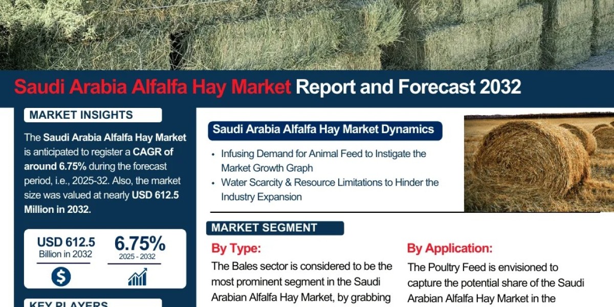 Saudi Arabia Alfalfa Hay Market Report 2025-2032: Trends, Growth, and Forecast Analysis
