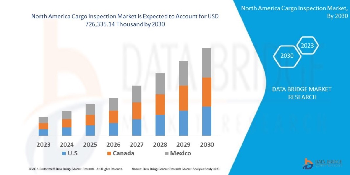 North America Cargo Inspection Market Report 2025 –2032: Key Trends and Projections