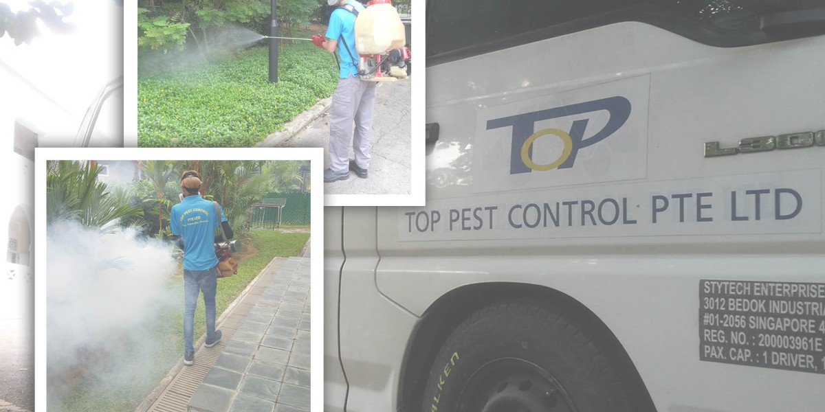 Affordable Pest Control Services in Singapore